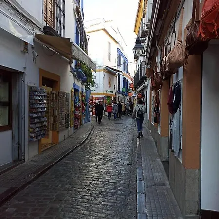 Amor, Emocion Y Mas, Autentico Centrico Climatizado,con Wifi, Cercano A La Catedral Y Estaciones Lägenhet