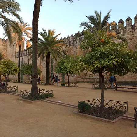 Amor, Emocion Y Mas, Autentico Centrico Climatizado,con Wifi, Cercano A La Catedral Y Estaciones * 코르도바