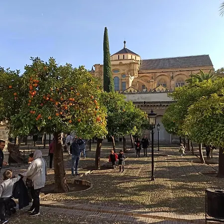 Amor, Emocion Y Mas, Autentico Centrico Climatizado,con Wifi, Cercano A La Catedral Y Estaciones 코르도바
