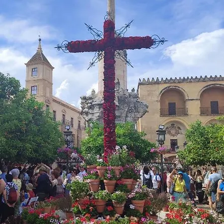 Amor, Emoción Y Más, Auténtico Céntrico Climatizado,con Wifi, Cercano A La Catedral Y Estaciones *