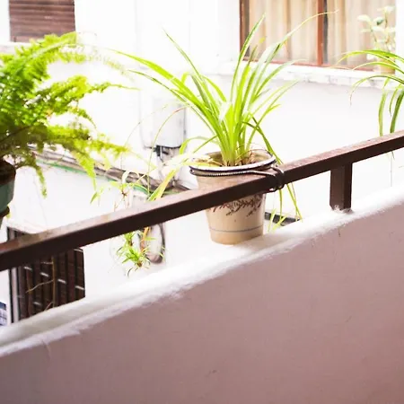 Amor, Emocion Y Mas, Autentico Centrico Climatizado,con Wifi, Cercano A La Catedral Y Estaciones Apartmán *
